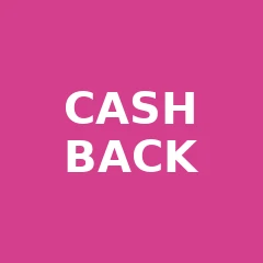 Cash Back vs Low Interest Calculator