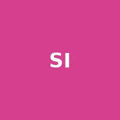 Simple Interest Calculator