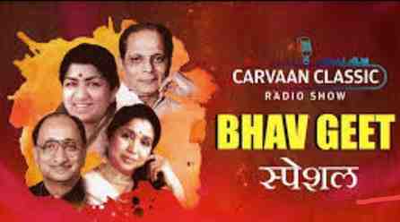 bhavgite