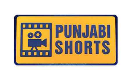 Punjabi Shorts